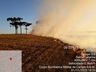 Bombeiros combatem incêndio em lavoura de trigo 