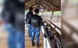 Polícia Civil realiza fiscalização em propriedade rural de Modelo