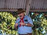 Começa 22º São Miguel Tchê no parque de exposições; fotos