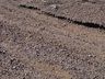 Saída de pista é registrada na SC-163 em Iporã do Oeste