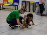 Sesc Recebe é realizado em São Miguel do Oeste