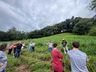 Epagri incentiva produção de leite à base do pasto em Guarujá do Sul