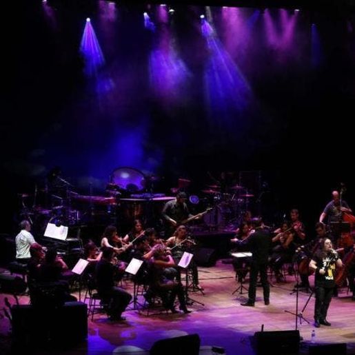 Show, jantar e feira de móveis serão testes para retomada de eventos em SC