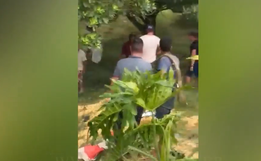 VÍDEO: Policial reage a ataque de faca e atira contra agressor 