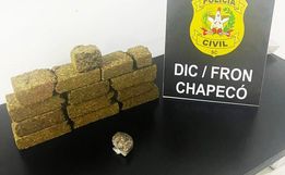 Polícia apreende quatro kg de maconha em galinheiro no interior de Chapecó