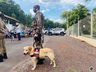 Polícia Militar de Itapiranga inaugura galeria de veteranos