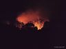 Bombeiros combatem incêndio em mata por cerca de 19 horas