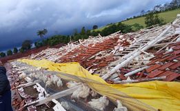Chapecó registra danos pontuais após fortes ventos e chuva intensa