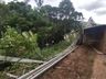 Caminhão carregado com 18 bois capota e animais caem em ribanceira em SC
