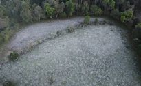 São Miguel do Oeste registra 0°C e Belmonte chega a -1,4°C