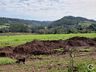 Empreendedor aposta na produção de hortifrutis no interior de Mondaí