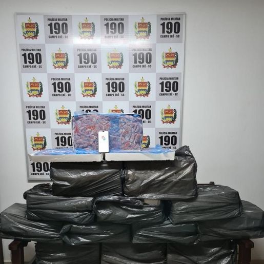 Polícia Militar apreende 390 quilos de camarão ilegal em Campo Erê