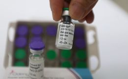 Com 231 mortes, cobertura vacinal da dengue não avança em Santa Catarina