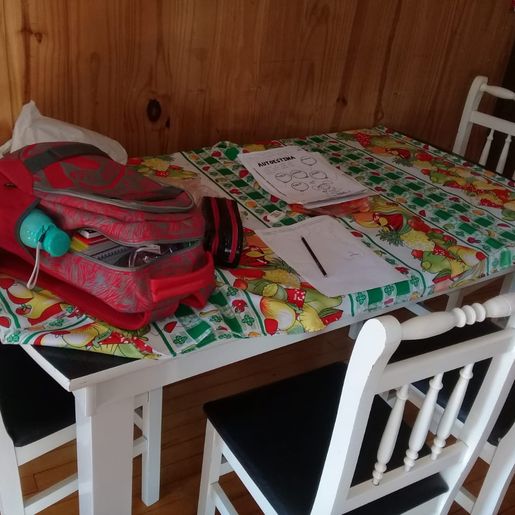FOTOS: Campanha de arrecadação de móveis mobiliza população após família perder casa em incêndio