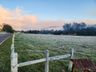 FOTOS: Onda de frio provoca geada em Itapiranga