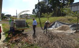 Município implanta programa de trituração de galhos em SMO