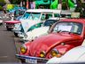 Encontro de Carros Antigos arrecada donativos para famílias atingidas pelas chuvas em SC