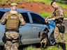 Polícia Militar prende jovem por tráfico em São Miguel do Oeste