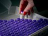 Estado de SC chega à marca de 7 milhões de doses registradas