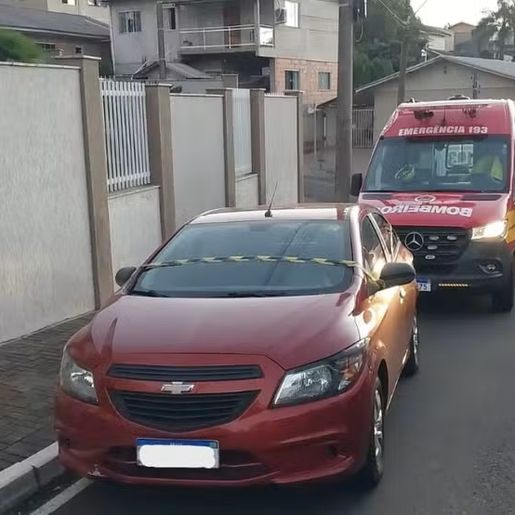 Inquérito da morte de criança de 3 anos que foi esquecida dentro de carro por 10h é concluído em SC