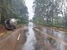 Caminhão sai da pista e colide em árvore na SC-157