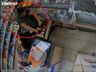 VÍDEO: Criminoso furta dinheiro do caixa de padaria no centro de SMO 