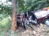 Carro fica destruído após colisão contra árvore na SC-305, em Guaraciaba