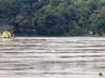 Cheia do Rio Uruguai suspende travessia da balsa em Mondaí