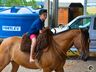Escolinha de laçadores realiza 1ª Festa Campeira em SMOeste