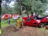 Saída de pista deixa duas pessoas feridas na BR-282, em Cunha Porã