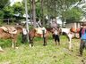 32ª Cavalgada da Integração Sul Brasileira percorre municípios da região