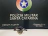 Polícia Militar apreende armas de fogo e prende dois homens em Descanso