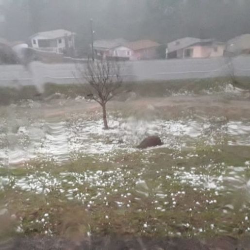 VÍDEO: Temporal provoca destruição em municípios da região