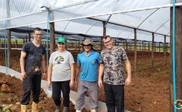 Empreendedor aposta na produção de hortifrutis no interior de Mondaí