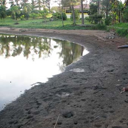 Propriedades de Palma Sola registram falta d'água para consumo animal