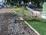 Temporal causa transtornos e prejuízos em São Miguel do Oeste