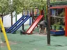Polícia confirma surto e diz que assassino de creche em Blumenau "criou história na cabeça"