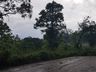 Temporal causa estragos em Itapiranga 