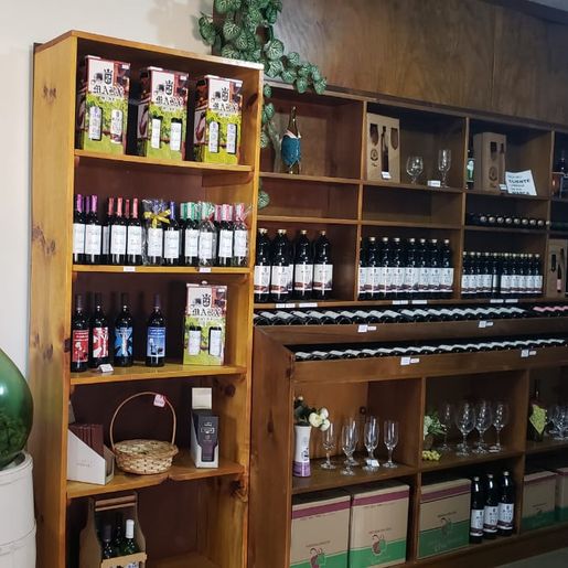 Enóloga cita importância do profissional para a qualidade da uva e do vinho