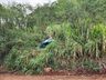 Carro cai em ribanceira e policial militar resgata criança, no interior de Itapiranga