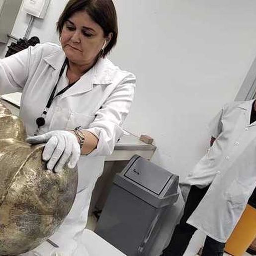 STF começa a restaurar as obras históricas e artísticas danificadas