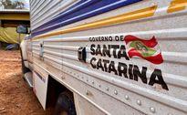 Jovem de 21 anos morre ao cair de telhado em Descanso