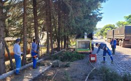 Urbanismo divulga cronograma de recolha e trituração de galhos em São Miguel do Oeste