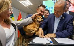 SC quer castrar 90 mil cães e gatos até 2026 com programa de R$ 18 milhões