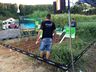 Cooperalfa envolve centenas de agricultores na 3ª Noite de Campo em SJCedro