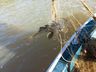 Polícia Militar Ambiental registra redução na pesca predatória durante a piracema