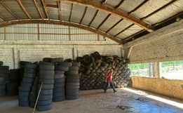Ameosc destina mais de 1,7 mil pneus recebidos no Ecoponto para reciclagem