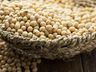 El Niño faz SC ter queda brusca na produção de soja e milho em 2024, aponta IBGE