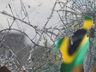 STF mantém 942 presos por atos de vandalismo; 464 vão responder em liberdade