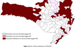 Oeste tem infestação de mosquito da dengue, aponta informe da Dive